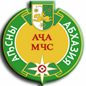 logo_mchs2026.png