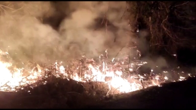Девять пожаров произошли накануне в Очамчырском районе