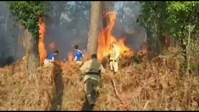 Пожар в селе Шицкуара Сухумского района