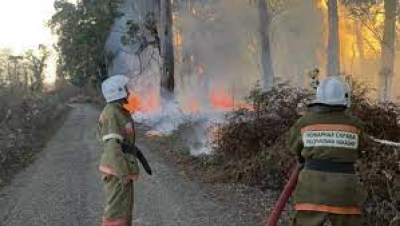 В связи с установившейся  жаркой погодой  и существенным повышением рисков возникновения природных возгораний МЧС Абхазии настоятельно призывает граждан и гостей республики соблюдать правила противопожарной безопасности