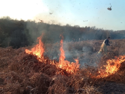 Очамчырские пожарные борются с природными пожарами