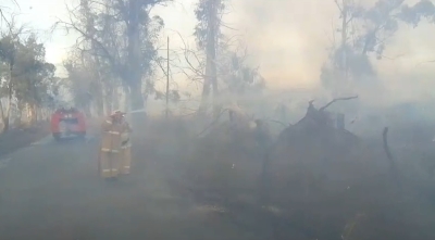 Более 50 га сухостоя объяты огнем в Очамчырском районе. Горит сухостой в районах сел Лашкиндар и Мыку.