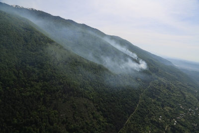 Опасности возникновения крупного лесного пожара на Мамзыщхе нет