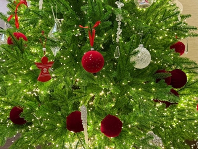 Глава МЧС Лев Квициния поздравил личный состав спасательного ведомства с Новым годом