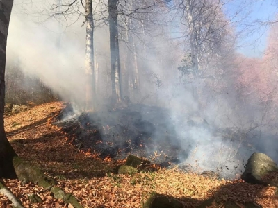 Сегодня новые очаги возгораний отмечены в Галском, Гагрском и Гулрыпшком районах