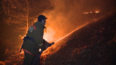 Минувшей ночью пожарные МЧС Абхазии продолжили борьбу с огнем в Гудаутском и Гагрском районах