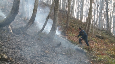 Пожар леса в с. Акапа Сухумского района