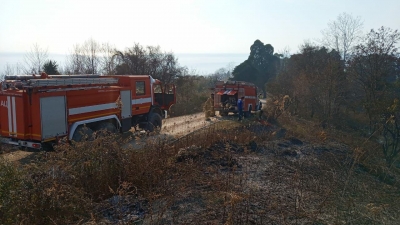 За минувшие сутки по республике спасатели 51 раз выезжали на тушение пожаров