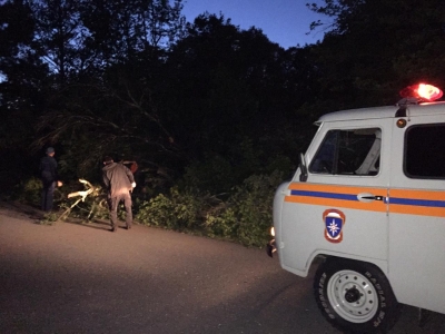 Упавшее дерево перекрыло движение автомобилей в районе села Ачгуара
