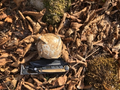 В селе Верхняя Эшера Сухумского района был обнаружен суббоеприпас от шариковой бомбы времен Отечественной войны народа Абхазии 1992 - 93 годов.