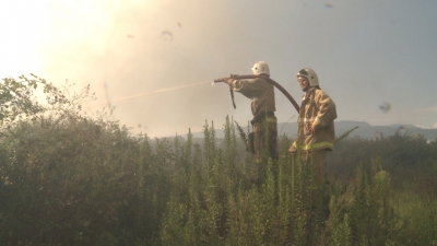 20 августа на пустыре в районе «Маяка» г. Сухум произошло возгорание сухой травы и кустарников