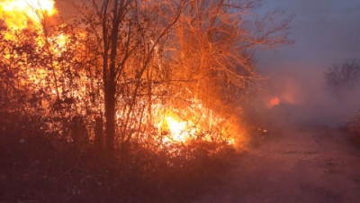 Накануне ночью в верховьях над селом Эшера, Сухумского района, возник природный пожар. Горело около 1 гектара лесного массива