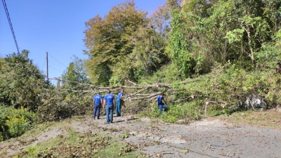8 октября в с. Нижняя Эшера по улице Братьев Эзугбая упало дерево, перегородив главную дорогу к городу Сухум. По счастливой случайности в момент происшествия людей под огромным дубом не оказалось