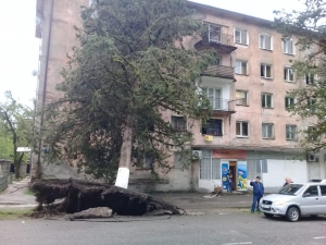 Сильные порывы ветра ночью 28 мая привели к частичным разрушениям в Ткуарчале. Чрезвычайная ситуация произошла в 23 часа 30 минут, когда резко усилился ветер, были повалены деревья