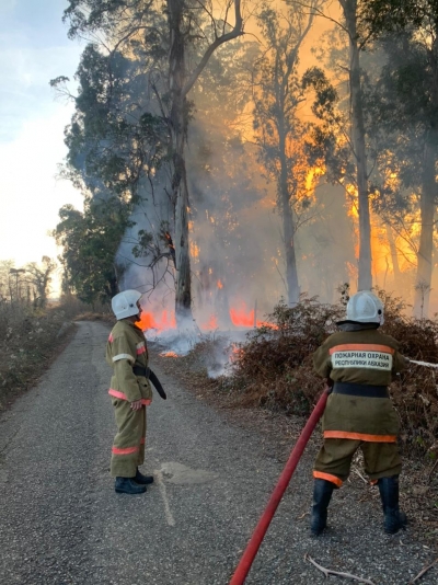 Два природных пожара ликвидированы в Очамчырском районе.