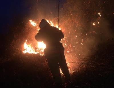 Пожар в окрестностях села Баслаху Очамчырского района. Горели кустарники и сухостой на площади более двух гектаров