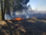 В республики вновь резко увеличилось число природных пожаров