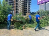 Сильный ветер и дождь привели к подтоплениям в Гагре